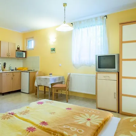 Andrea Apartmanhaz Apartment Balatongyorok Exterior photo